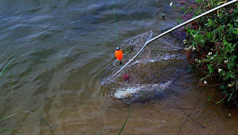 趣味の館 - Image 6