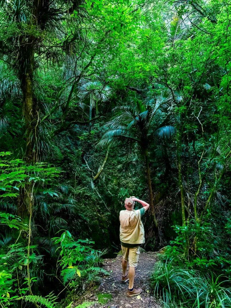 趣味の館 - Image 7